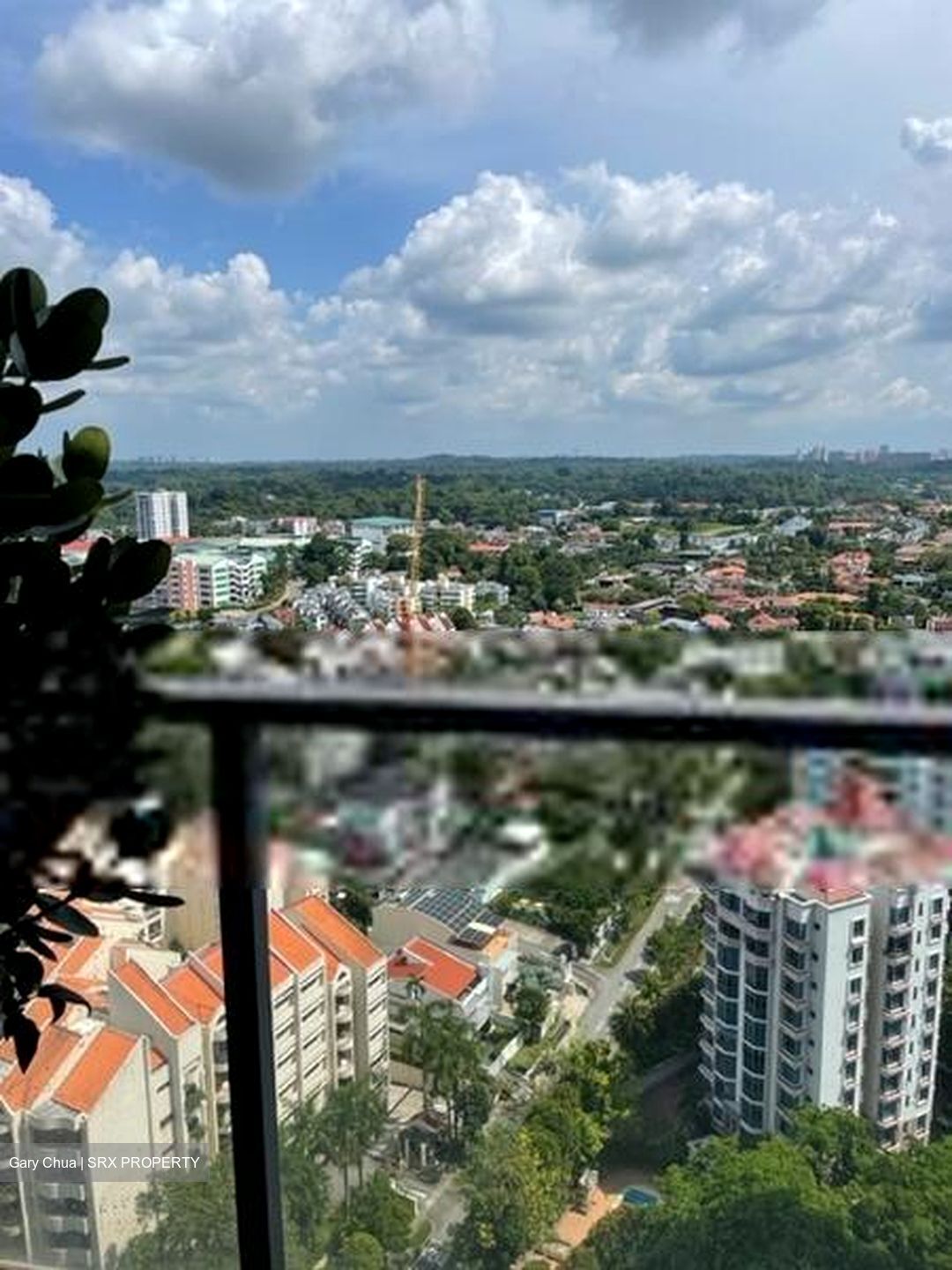 Residences @ Evelyn (D11), Condominium #561082321